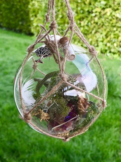 Harnessing Nature's Power: Where to Hang a Witch Ball in Your Garden